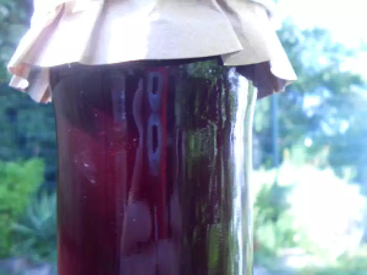 Rotes Johannisbeergelee mit Zitronen ~ Minze