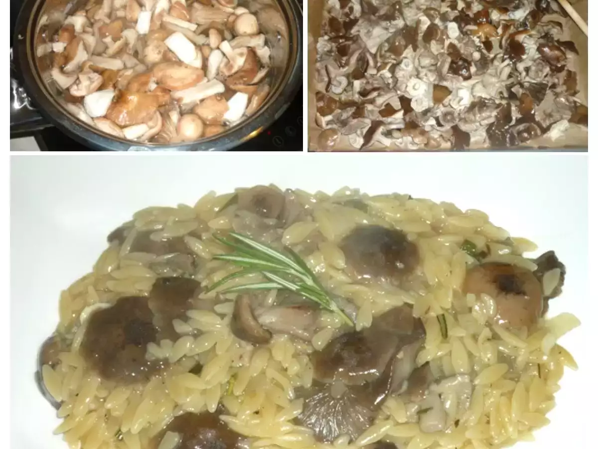 Sammlerglück: Hallimasch-Pastasotto