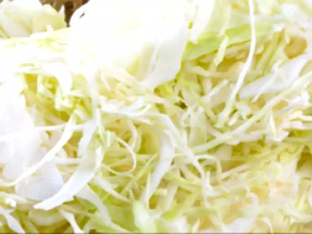 Schmorkohl Man's Head