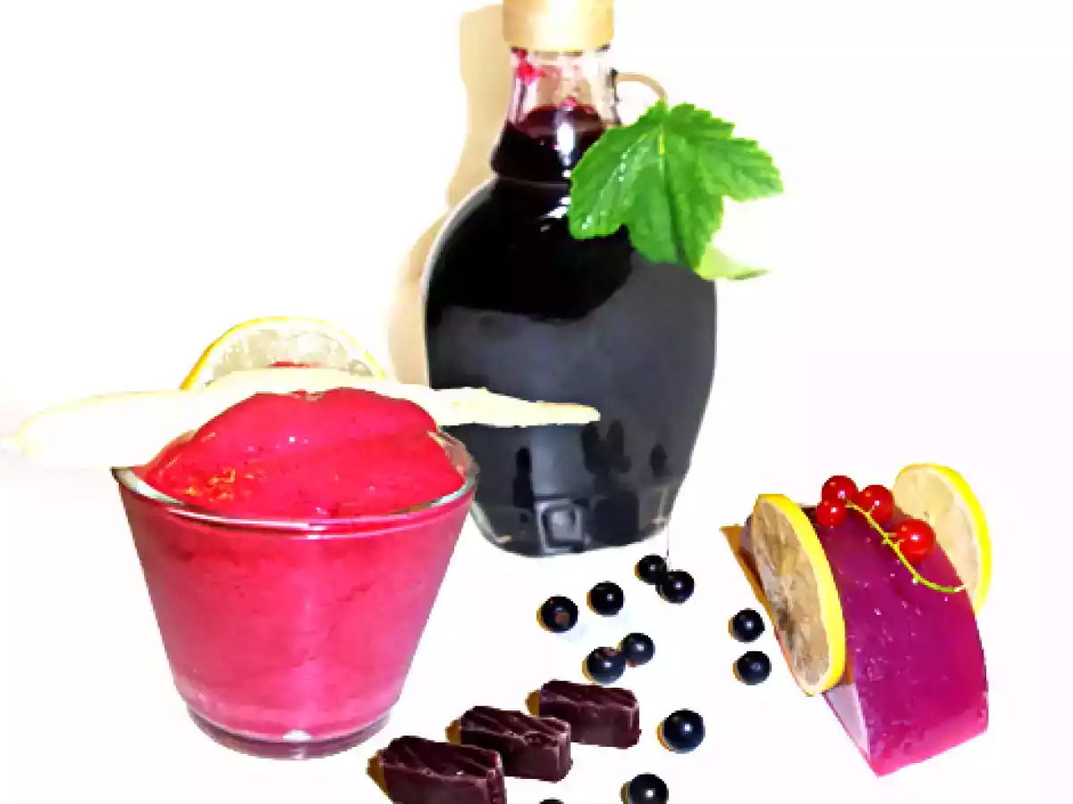 Schwarze Johannisbeeren - aus 1 mach 4