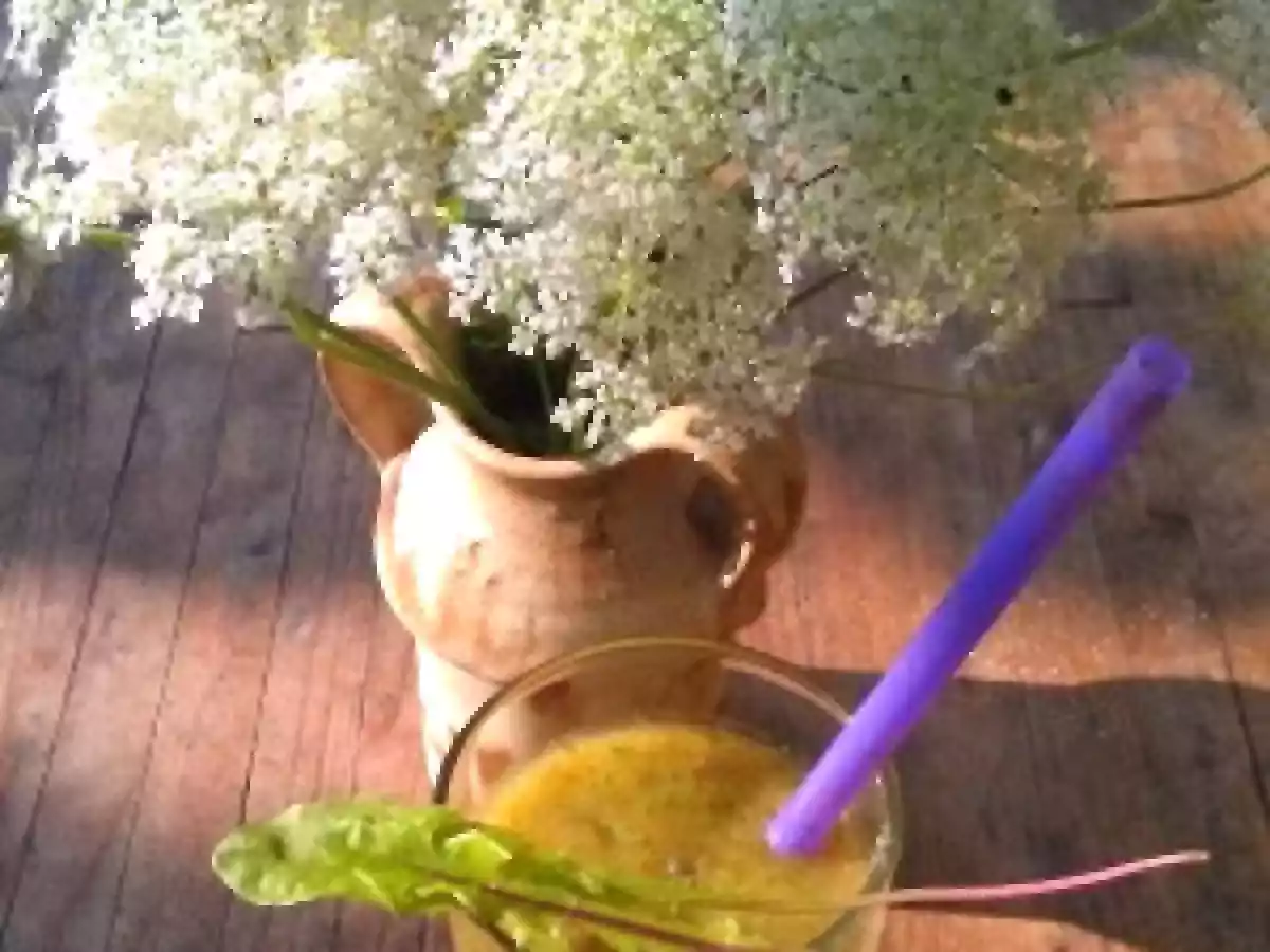 Smoothie für Meerschweinchen und Unkrautgourmets