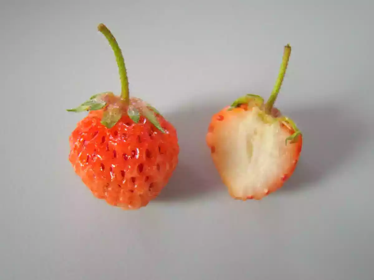 Sorbet von der Weissen Ananas - foto 3