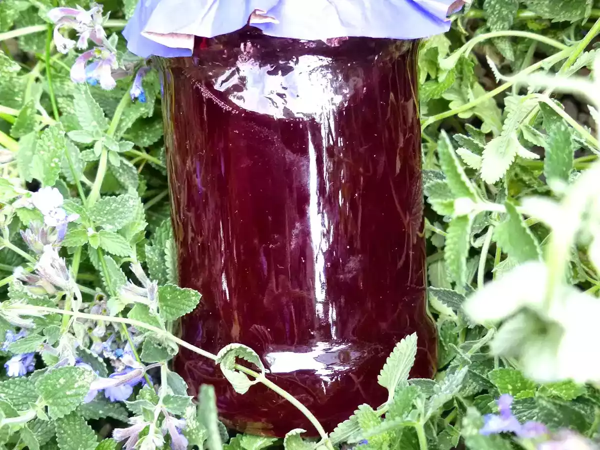 Süßkirschen ~ Gelee mit Amaretto