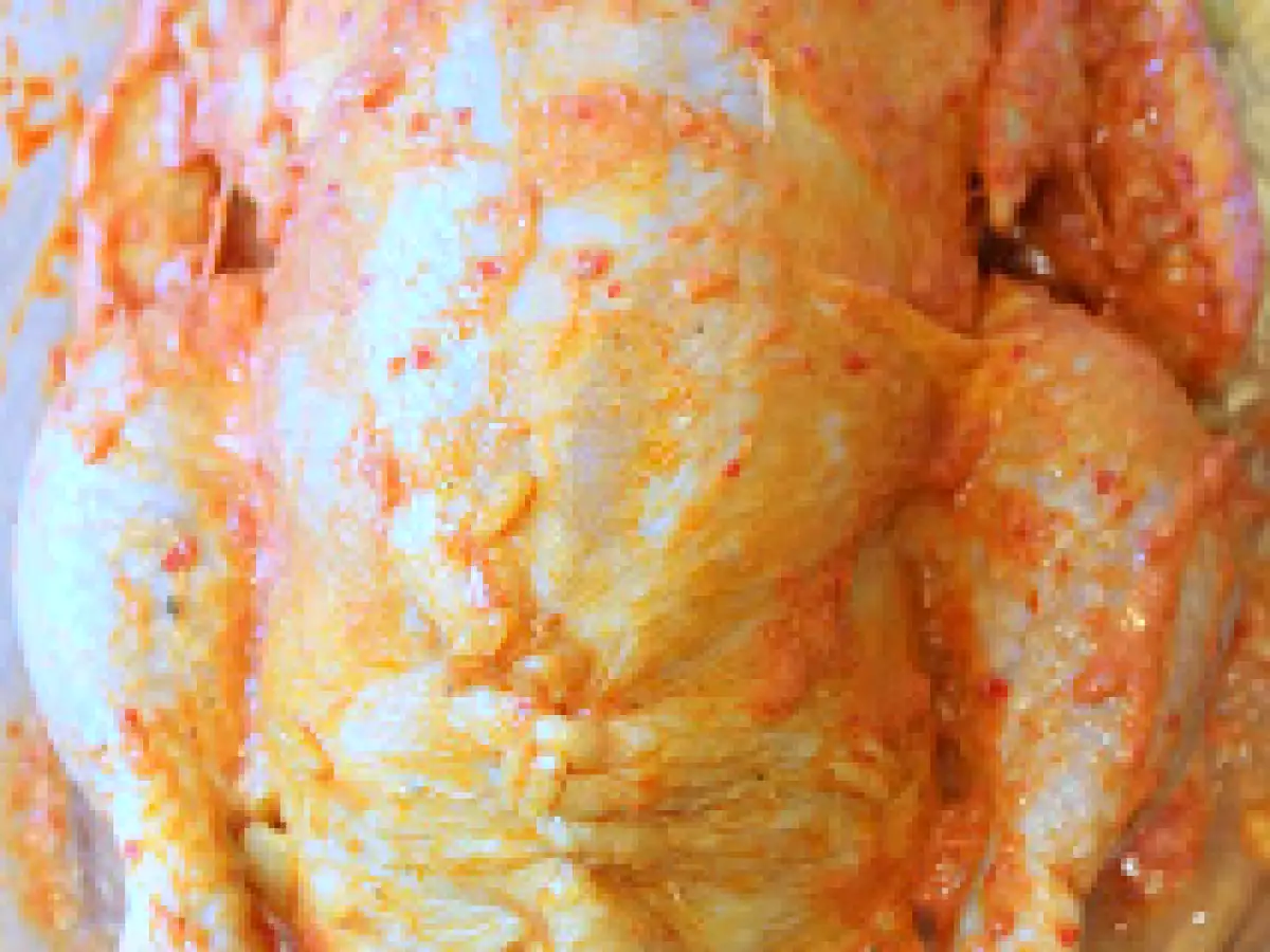 Tavuk Dolması / Gestopfte Hähnchen im Ofen - foto 2