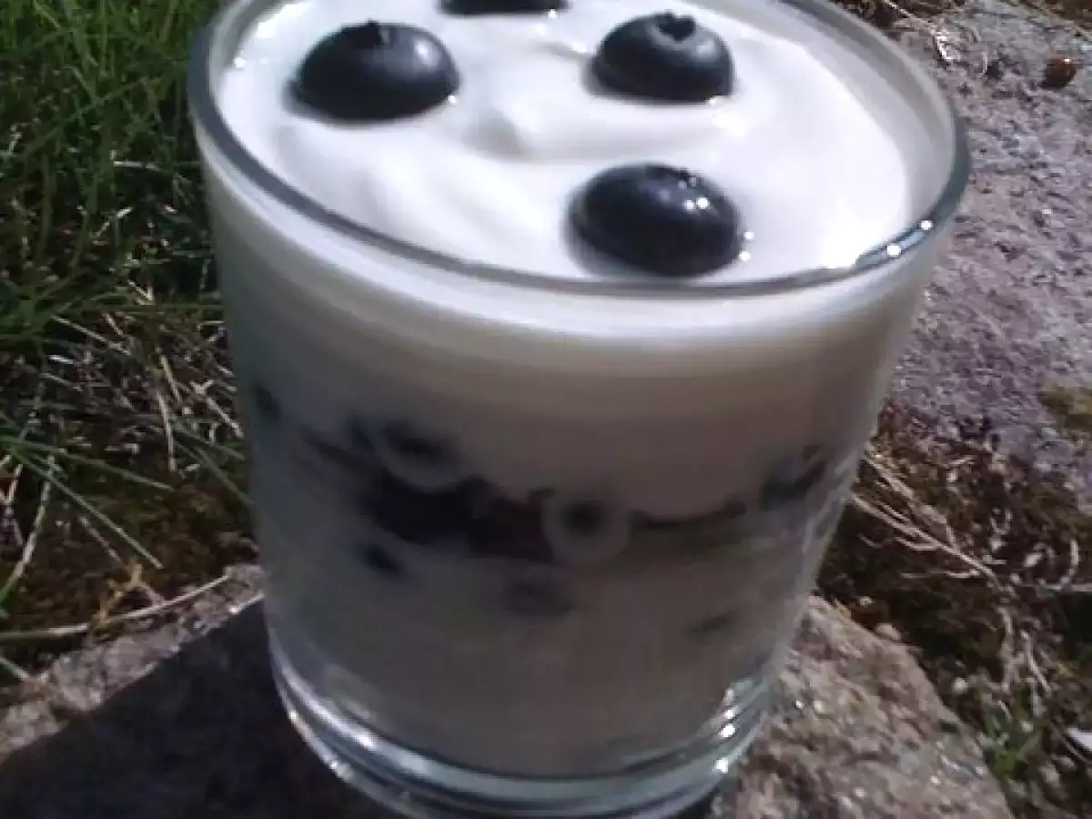 Und nochmal Heidelbeeren