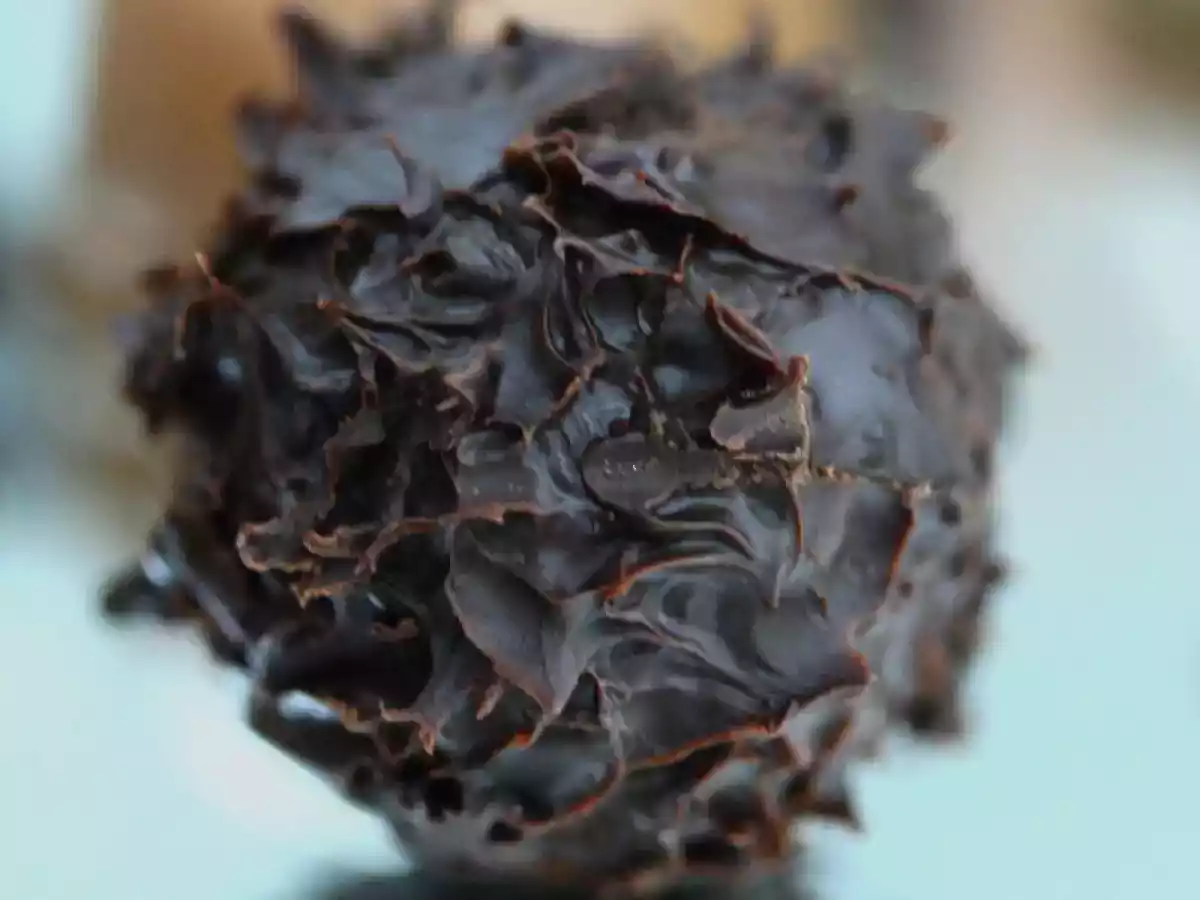 Westindische Rumtrüffelpralinen Ollis Prüfungspralinen Teil 1 - foto 2