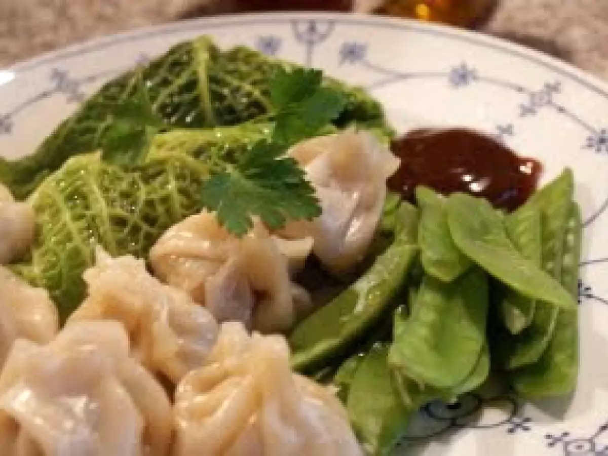 Wontons - in Wirsing und in Wonton-Teig